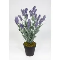 Kunstblume Künstlicher Lavendelbusch 54cm im Topf FI Kunstpflanzen Blumen Pflanze Lavendel, Seidenblumen Roß, Höhe 54 cm
