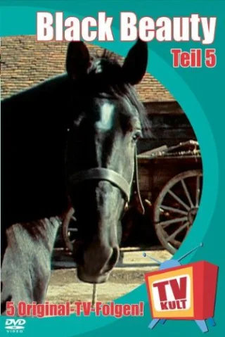 Black Beauty Teil 5 [DVD] [2004]