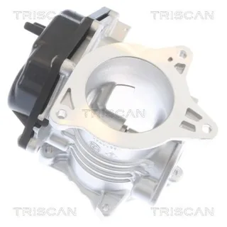 Triscan AGR-Ventil VW Amarok Crafter 2,0