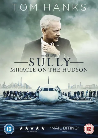 Sully: Miracle on the Hudson [DVD] [2017] UK-Import Sprache-Englisch