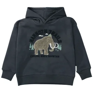 STACCATO - Kn.-Hoodie, oversized stone - Gr. - 110