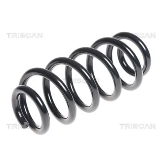 Triscan Feder hinten Audi A3 8P 875029266