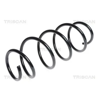 Triscan Feder vorne Mercedes E-Klasse W212 875023164