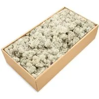 NaDeco Bastelnaturmaterial Islandmoos Grau 500g