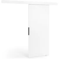 HAUSELEMENT Schiebetür VIND 106 x 205, Schiebetürsystem SoftClose Laufschiene Schwebetür 106/100 cm