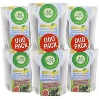Air Wick Duftkerze 3x Air Wick Doppelpack Duftkerze Blütenzauber Brombeerblüte & Wildfeig