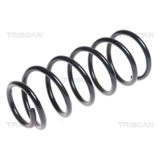Triscan Feder hinten Hyundai Ix20 Kia Venga