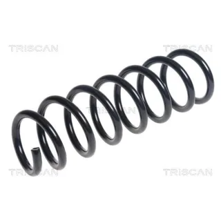 Triscan Feder vorne BMW 5er F11 Touring 875011159