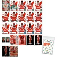 Topps Sammelkarte Bundesliga Sticker 24/25 Mannschaftspaket 1. FC Union Berlin + Sleeves