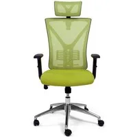 TPFLiving Bürostuhl Zeus mit Castor Rollen und Lordosenstütze aus Mesh Stoff (XXL Bürostuhl, ergonomisch gepolsterter Schreibtischstuhl), moderner Drehstuhl XXL Chefsessel, Belastbarkeit 150 kg - Grün