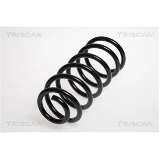 Triscan Feder hinten Kia Picanto 1