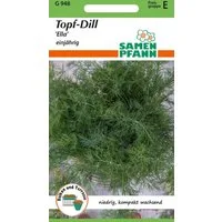 SAMEN PFANN Kräutersamen Topf - Dill, Ella - Dill-Samen Kräuter-Samen Gewürz Saatgut Samen, Anethum graveolens