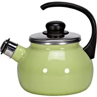 Karl Krüger Wasserkessel Flötenkessel 18 cm, 2 Liter, Pastell grün, Edelstahl, (1-tlg)