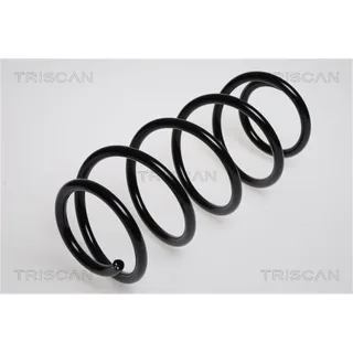 Triscan Feder vorne Opel Vectra 875024102