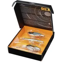 Berkley Kunstköder Berkley DEX Gift Box - Geschenkbox Barsch, Zander & Forelle