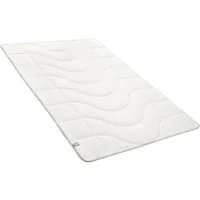 Irisette Naturfaserbettdecke irisette® Sensible Ganzjahres-Bettdecke, Füllung: bauschige Markenhohlfaser, temperatur- und feuchtigkeitsregulierend, Bezug aus Naturmaterialien