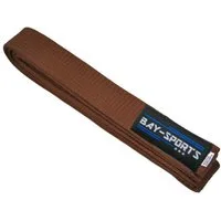 BAY-Sports Karateanzug Budogürtel Karategürtel Kampfsportgürtel braun Budogürtel, Judogürtel, Taekwondogürtel, Länge 160 cm - 350 cm