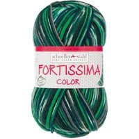 Schoeller + Stahl Fortissima Socka 4-fach Color Häkelwolle, 420 m, pflegeleicht, formstabil und hoher Tragekomfort