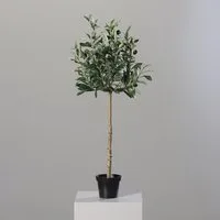 Kunstbaum küstlicher Olivenbaum 80cm, mucPlants, Höhe 80 cm