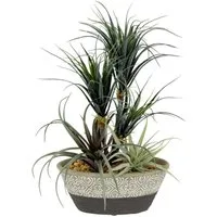 Kunstpflanze Dracena/Tillandsia Dracena Tillandsia, I.GE.A., Höhe 31 cm, Im Übertopf aus Keramik