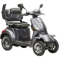 ECONELO Elektromobil Seniorenmobil P4000, Lithium-Akku, 25 km/h, 1000 Watt, 1000 W, 25 km/h