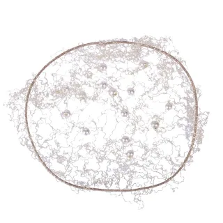 Haarnetz QHP Invisible Pearl