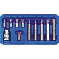 TRIZERATOP Bit-Set Spezial-Steckschlüsselsatz Spline M5–M12, 11-teilig, Spezial-Steckschlüsselsatz Spline M5–M12, 11-teilig, 11-St., Spezial-Steckschlüsselsatz Spline M5–M12, 11-teilig
