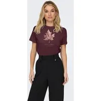 ONLY Kurzarmshirt ONLKITA LIFE REG S/S MIX TOP CS JRS EX. Baumwolle, regular fit