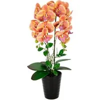 Kunstblume Orchidee, I.GE.A., Höhe 58 cm, Im Topf Phalaenopsis Orchidee Phalaenopsis mit Übertopf Hochzeit