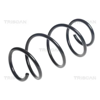 Triscan Feder vorne BMW 1er 2er 3er 875011144