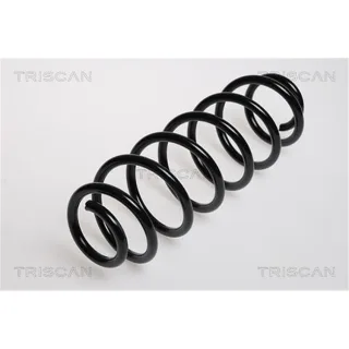 Triscan Feder hinten VW Golf 4