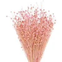 Trockenblume Trockengras Flachs Deko Blumenarrangement Tischdekoration, Viana, Höhe 15 cm