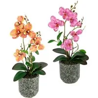 Kunstpflanze Orchidee, OTTO home, Höhe 38 cm, Mit Blättern und Luftwurzeln, im Topf aus Keramik, 2er Set