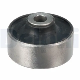 Delphi Querlenkerlager Chevrolet Aveo Daewoo Kalos TD1486W