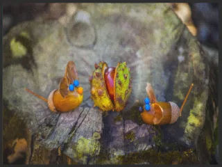 Fussmatte 5011 | Größe: 60 cm x 45 cm