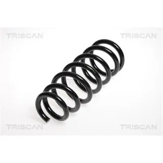 Triscan Feder Hinten Toyota Avensis T25 875013113