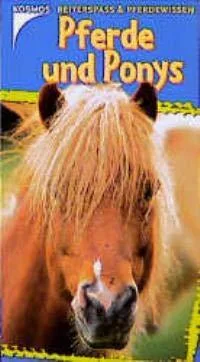 Pferde und Ponys
