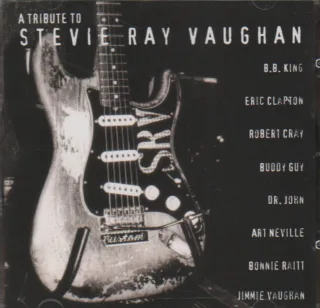 A Tribute to Stevie Ray Vaugha