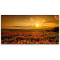 Tulup Leinwandbild Wandbild Canvas Groß Bilder Wohnzimmer Schlafzimmer Aufhängefertig, Mohnfeld