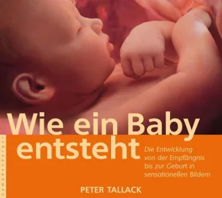 Wie ein Baby entsteht: Die Entwicklung von der Empfängnis bis zur Geburt in sensationellen Bildern