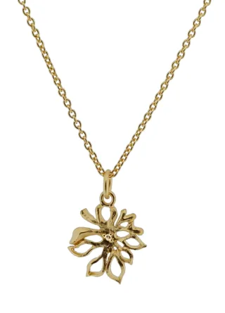 Orphelia Damen 925 Sterling Silber Kette mit Anhänger - Gold ZH-6027/2