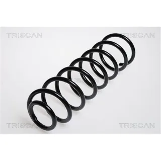 Triscan Feder hinten Audi A4 B5 875029047