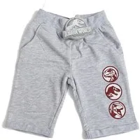 Jurassic World Shorts Jungen Shorts kurze Hose Kinderhose Sommerhose 4-8 Jahre Kinderhosen kurz Jungen Jurassic World