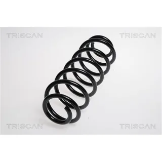 Triscan Feder hinten VW Fox 1,4