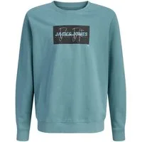 Jack & Jones Junior Sweatshirt JJCOLE PRINT SWEAT CREW MNI