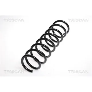Triscan Feder hinten BMW 5er E60 87501174