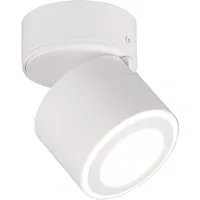 TRIO Leuchten LED Deckenstrahler, LED fest integriert, Warmweiß, Spot für Decke aus Metall, Aufputz oder Einbau-Strahler innen, Ø 9cm