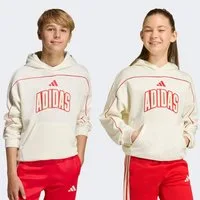adidas Sportswear Kapuzensweatshirt STADIUM HOODY MIT SCHRIFTZUG