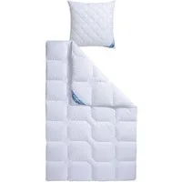 fan Microfaserbettdecke + Kopfkissen Kansas, 2tlg.-Set mit Kissen 80x80 cm, Füllung: Markenhohlfaser »EUROfill« (Bettdecke), Bezug: Microfaser mit Peach-touch (Bettdecke), Microfaser (Kopfkissen), Bettdecke 135x200 cm, 155x220 cm für Sommer oder Wint