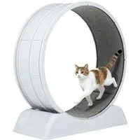 oyajia Tier-Aktivitätsspiel Tierlaufrad, Katzenlaufband, Laufband für Katzen, Zimmerläufer, PP-Kunststoff, Leise, Pfotenschutz, Feststellbar, 80cm Innendurchmesser